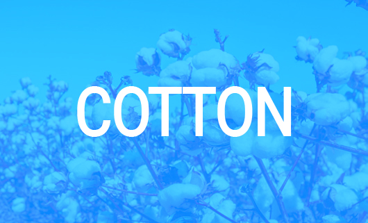 Cotton